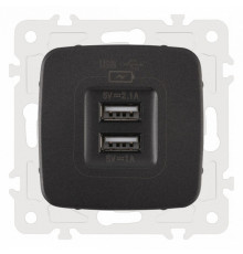 Розетка USB, без рамки Arte Milano am-205 205.46-1.black