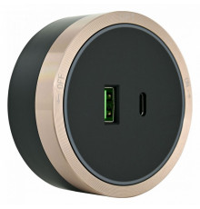 Розетка USB и type C на треке Arte Milano Am-track-sockets 380066TS LED/USB-Type-C Gold