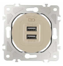 Розетка USB, без рамки Arte Milano am-202 202.46-1.shampan