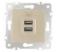 Розетка USB, без рамки Arte Milano am-203 203.46-1.shampan