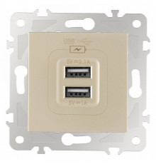 Розетка USB, без рамки Arte Milano am-203 203.46-1.shampan