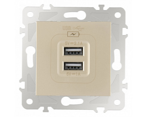 Розетка USB, без рамки Arte Milano am-203 203.46-1.shampan