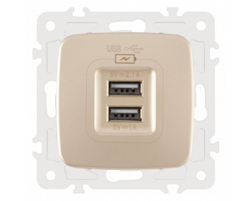 Розетка USB, без рамки Arte Milano am-205 205.46-1.shampan