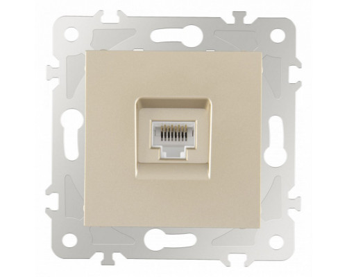 Розетка Ethernet RJ-45 без рамки Arte Milano am-203 203.45-1.shampan