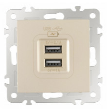 Розетка USB, без рамки Arte Milano am-206 206.46-1.shampan