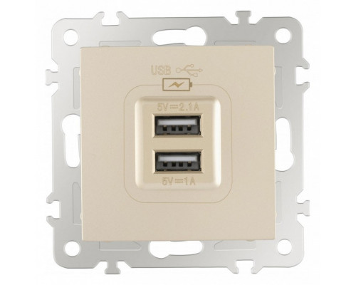 Розетка USB, без рамки Arte Milano am-206 206.46-1.shampan