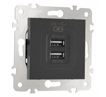 Розетка USB, без рамки Arte Milano am-203 203.46-1.black