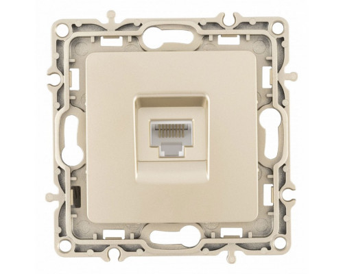 Розетка Ethernet RJ-45 без рамки Arte Milano am-217 217.45-1.shampan