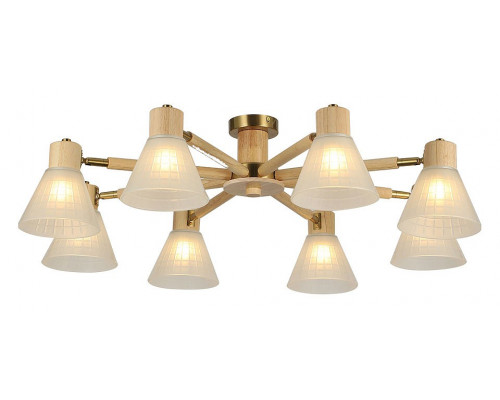 Потолочная люстра Arte Lamp Meleph A4096PL-8BR