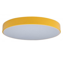 Накладной светильник Loft it Axel 1 10002/24 Yellow