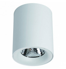 Накладной светильник Arte Lamp Facile A5130PL-1WH