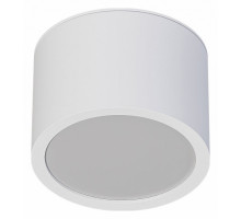 Накладной светильник Arte Lamp Intercrus A5543PL-1WH