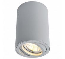 Накладной светильник Arte Lamp Sentry A1560PL-1GY