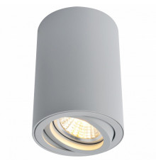 Накладной светильник Arte Lamp Sentry A1560PL-1GY