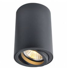 Накладной светильник Arte Lamp Sentry A1560PL-1BK