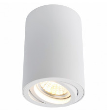 Накладной светильник Arte Lamp Sentry A1560PL-1WH