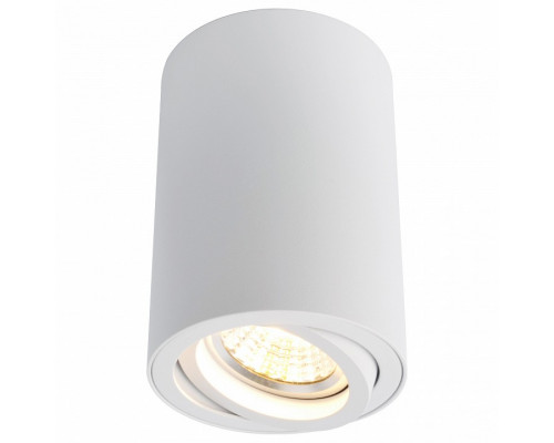 Накладной светильник Arte Lamp Sentry A1560PL-1WH