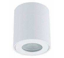 Накладной светильник Arte Lamp Tino A1469PL-1WH