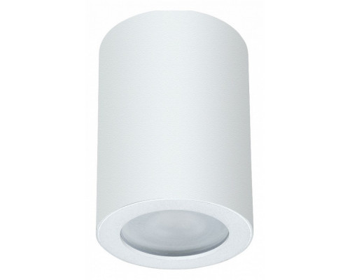 Накладной светильник Arte Lamp Tino A1468PL-1WH