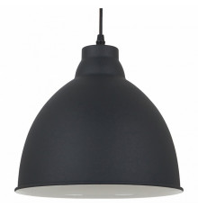 Подвесной светильник Arte Lamp Braccio A2055SP-1BK