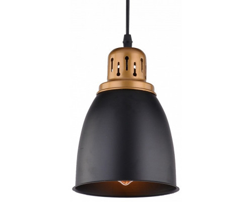 Подвесной светильник Arte Lamp Eurica A4248SP-1BK