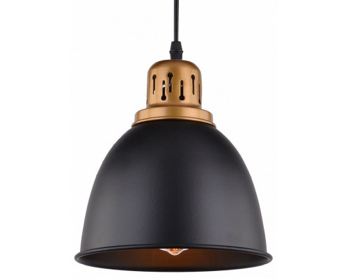 Подвесной светильник Arte Lamp Eurica A4245SP-1BK