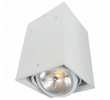 Накладной светильник Arte Lamp Cardani A5936PL-1WH