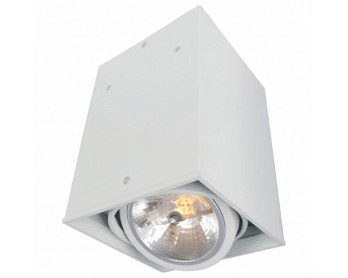 Накладной светильник Arte Lamp Cardani A5936PL-1WH