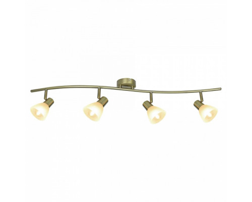 Спот Arte Lamp Parry A5062PL-4AB