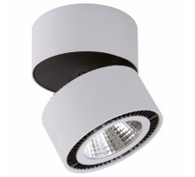 Накладной светильник Lightstar Forte Muro LED 214830