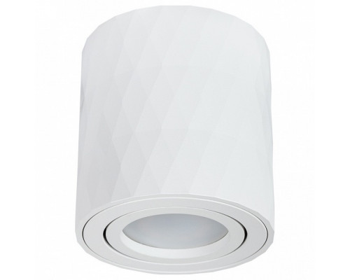 Накладной светильник Arte Lamp Fang A5559PL-1WH