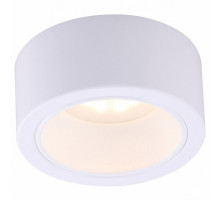 Накладной светильник Arte Lamp Effetto A5553PL-1WH