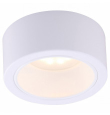 Накладной светильник Arte Lamp Effetto A5553PL-1WH