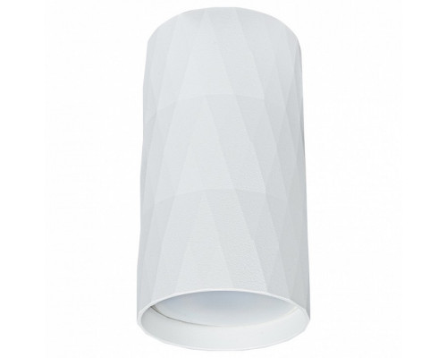 Накладной светильник Arte Lamp Fang A5557PL-1WH