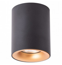 Накладной светильник Arte Lamp Torre A1532PL-1BK