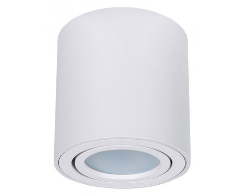 Накладной светильник Arte Lamp Beid A1513PL-1WH