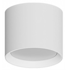 Накладной светильник Arte Lamp Intercrus A5548PL-1WH