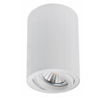 Накладной светильник Arte Lamp Sentry A1566PL-1WH