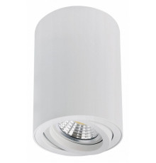 Накладной светильник Arte Lamp Sentry A1566PL-1WH