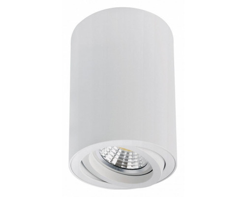 Накладной светильник Arte Lamp Sentry A1566PL-1WH