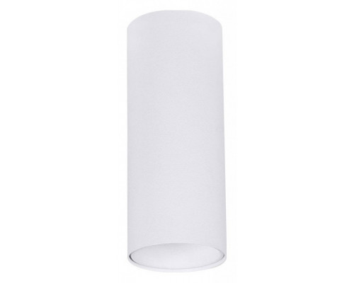 Накладной светильник Arte Lamp Net Mini A6450PL-1WH